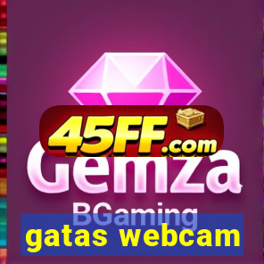 gatas webcam